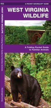 Tapa de West Virginia Wildlife An Introduction To Familiar Species