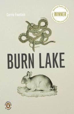 Tapa de Burn Lake