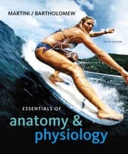 Tapa de Essentials Of Anatomy And Physiology