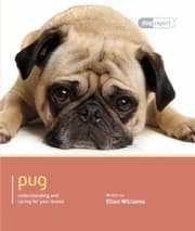 Tapa de Pug Understanding And Caring For Your Dog