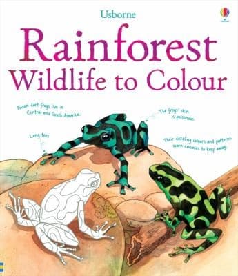 Tapa de Rainforest Wildlife To Colour