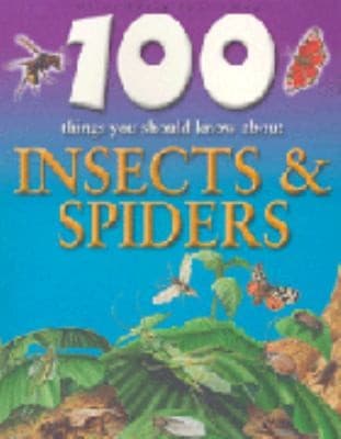 Tapa de 100 Things You Should Know About Insects Spiders