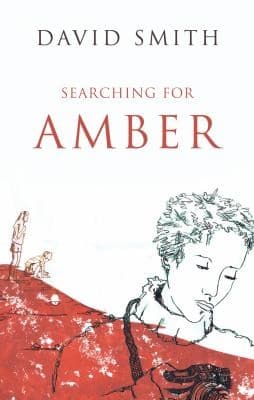 Tapa de Searching For Amber