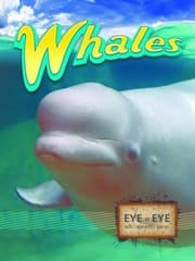 Tapa de Whales