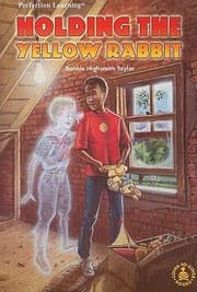 Tapa de Holding the Yellow Rabbit
            
                CoverToCover Novels