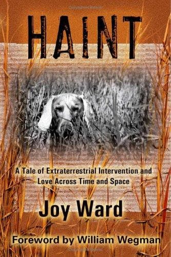 Tapa de Haint