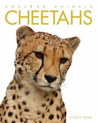 Tapa de Cheetahs