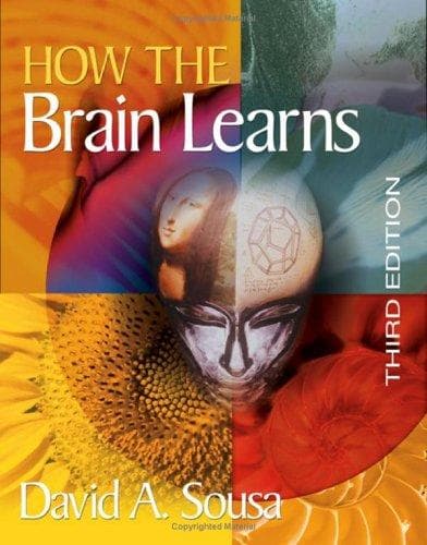 Tapa de How the brain learns