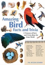 Tapa de Amazing Bird Facts And Trivia A Treasury Of Facts And Trivia About The Avian World