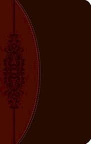 Tapa de Ceb Common English Wesley Study Bible Decotone