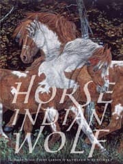 Tapa de Horse Indian Wolf The Hidden Pictures Of Judy Larson