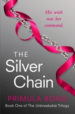 Tapa de The Silver Chain