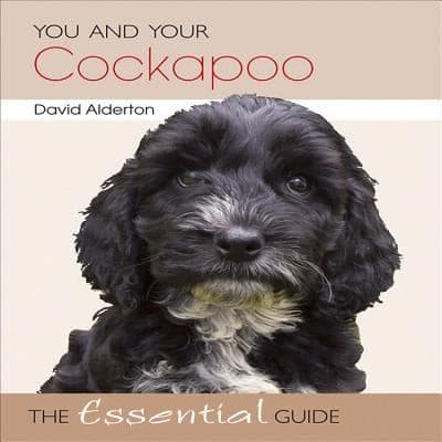 Tapa de You And Your Cockapoo The Essential Guide