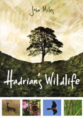 Tapa de Hadrians Wildlife