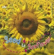 Tapa de Seed to sunflower