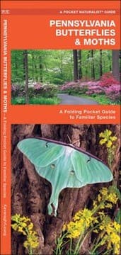 Tapa de Pennsylvania Butterflies Moths An Introduction To Familiar Species