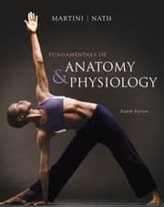 Tapa de Fundamentals Of Anatomy Physiology