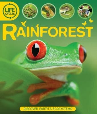 Tapa de Rainforest