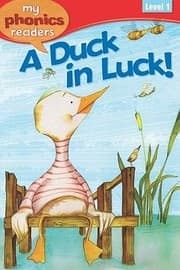 Tapa de A Duck In Luck