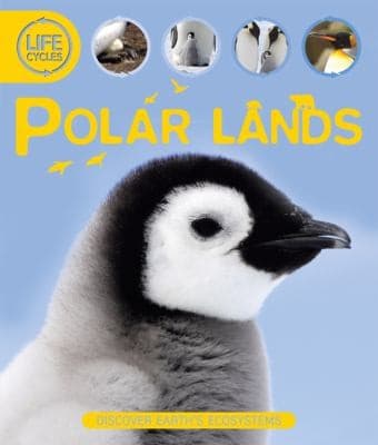 Tapa de Polar Lands
