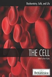 Tapa de The Cell