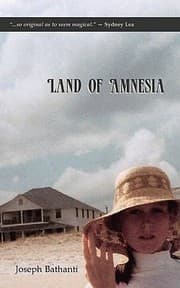 Tapa de Land Of Amnesia Poetry