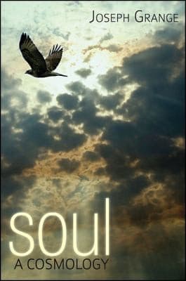 Tapa de Soul A Cosmology