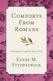 Tapa de Comforts From Romans Celebrating The Gospel One Day At A Time