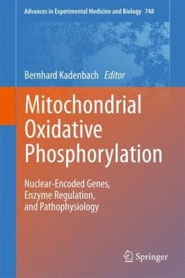 Tapa de Mitochondrial Oxidative Phosphorylation Nuclearencoded Genes Enzyme Regulation And Pathophysiology