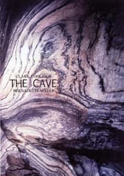 Tapa de The Cave