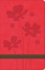 Tapa de Holy Bible Gods Word Rosebrown Flower Design Duravella Thinline Bible