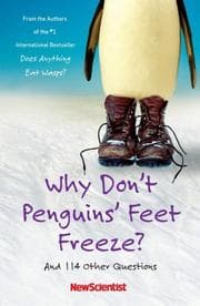Tapa de Why Don't Penguins' Feet Freeze?