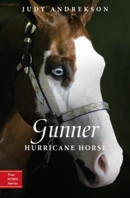 Tapa de Gunner Hurricane Horse