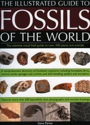 Tapa de An Illustrated Guide To The Fossils Of The World The Ultimate Field Guide And Visual Aid To Over 400 Plant And Animal Species
