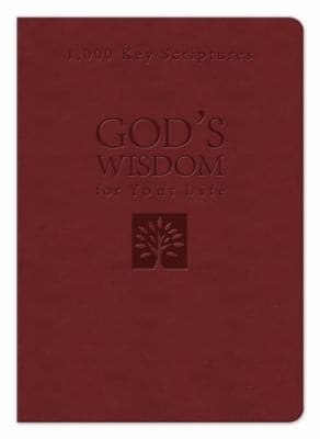 Tapa de Bible Wisdom For Your Life