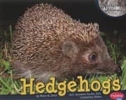 Tapa de Hedgehogs