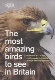 Tapa de The Most Amazing Birds To See In Britain More Than 120 Unusual And Eyecatching Species