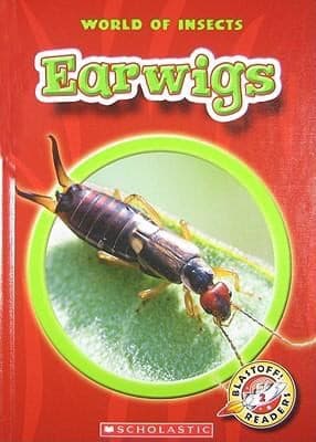 Tapa de Earwigs