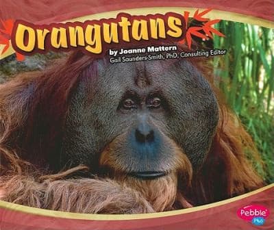 Tapa de Orangutans
            
                Asian Animals