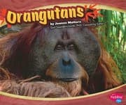Tapa de Orangutans
            
                Asian Animals