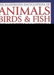 Tapa de The Illustrated World Encyclopedia Of Animals Birds Fish Of North America A Natural History And Identification Guide With More Than 450 Native Species From The United States Of America And Canada