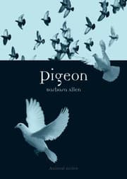 Tapa de Pigeon