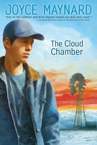 Tapa de The Cloud Chamber (Anne Schwartz Books)