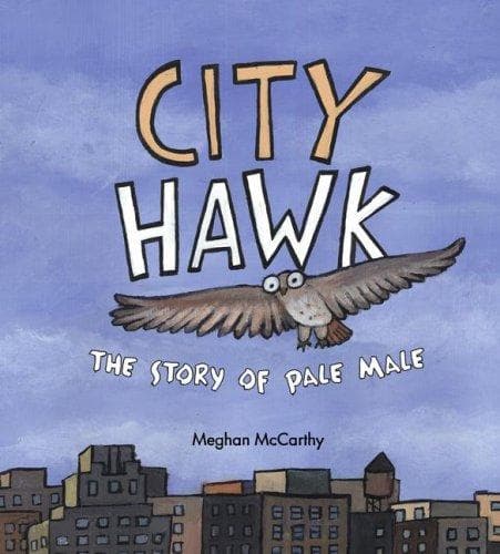 Tapa de City Hawk