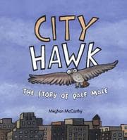 Tapa de City Hawk