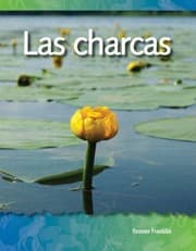 Tapa de Las Charcas Ponds Biomes And Ecosystems