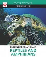 Tapa de Reptiles And Amphibians