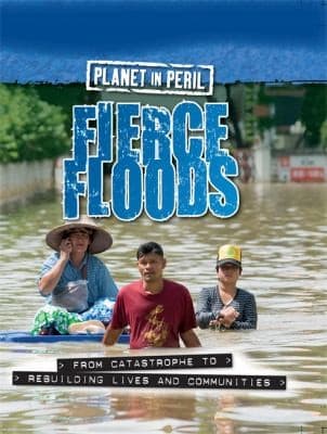 Tapa de Fierce Floods