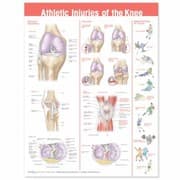 Tapa de Athletic Injuries Of The Knee