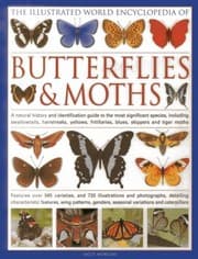 Tapa de The Illustrated World Encyclopedia of Butterflies and Moths